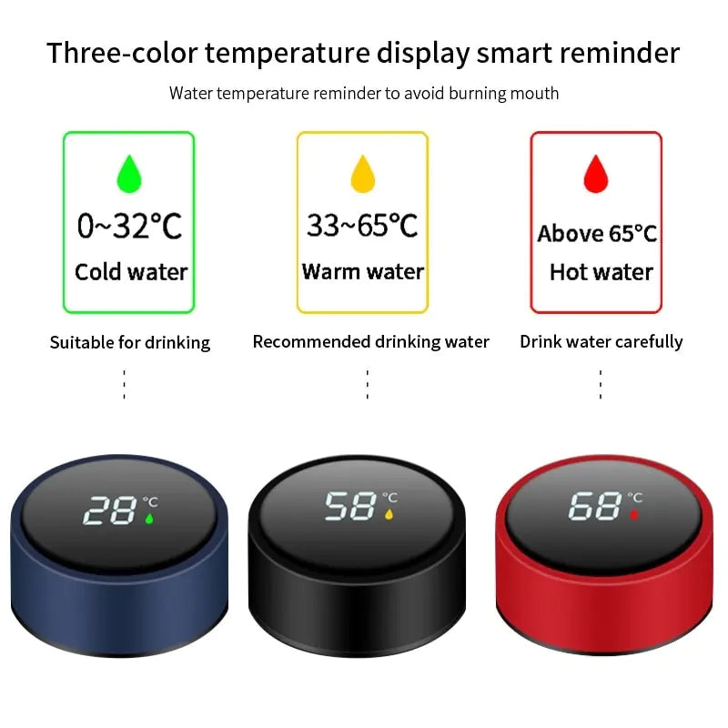 TERMO INTELIGENTE CON INFUSOR Y PANTALLA LED DE TEMPERATURA